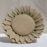 Sonnenblume (d22)