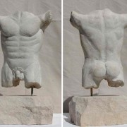 Torso (24 x 16 x 40)